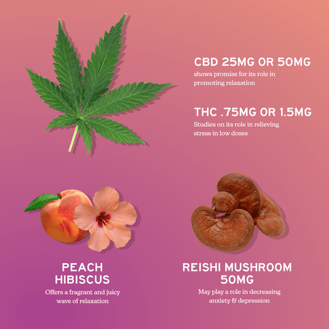 Alchemy Naturals - Full Spectrum CBD + Reishi Mushroom Gummies For Stress