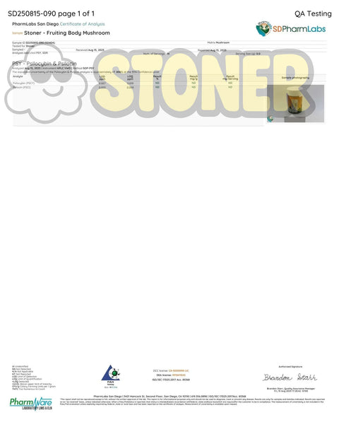 Stoner Fruiting Body Mushrooms – 7 g / 3,500 mg - BuyLegalMeds.com