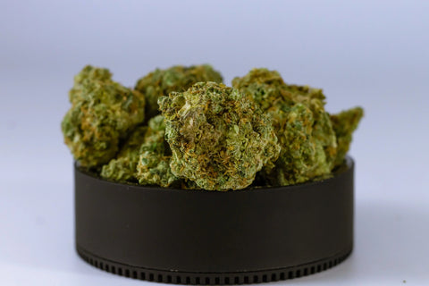 Close-up of cannabis buds on a black container, isolated on white background.