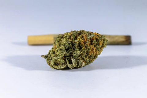 Close-up of CBD hemp flower bud and rolled pre-roll on white background