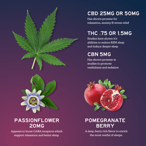 Alchemy Naturals - Full Spectrum CBD + CBN Gummies For Sleep