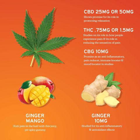 Alchemy Naturals - Full Spectrum CBD + CBG Gummies for Soothing Relief